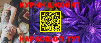 сатива Краснознаменск