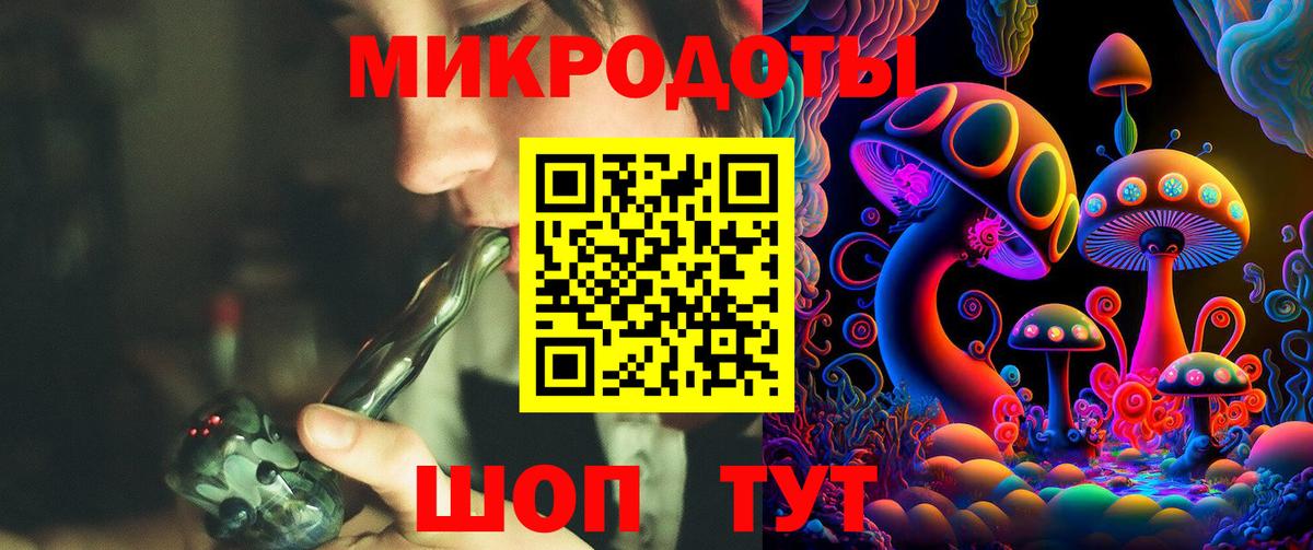 Псилоцибиновые грибы Psilocybine cubensis Ивантеевка