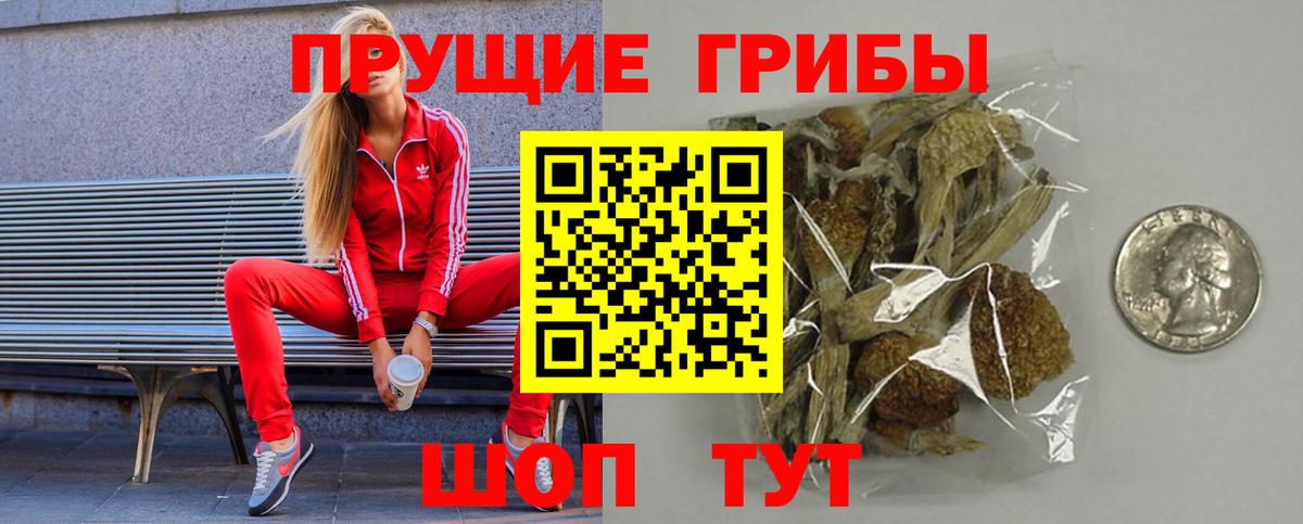 Псилоцибиновые грибы GOLDEN TEACHER  сколько стоит  Ивантеевка  Вход с VPN  Псилоцибиновые грибы прущие грибы 